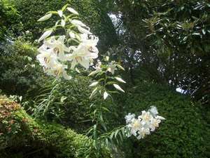 Surroundings・Views