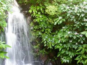 Surroundings・Views