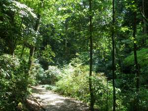 Surroundings・Views