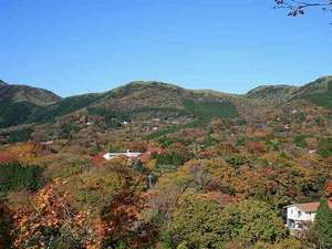 Surroundings・Views