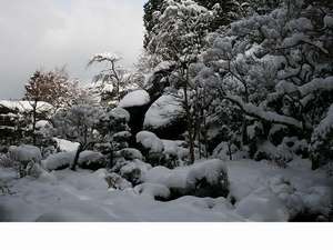 Surroundings・Views