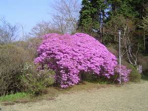 Surroundings・Views