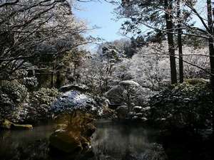 Surroundings・Views