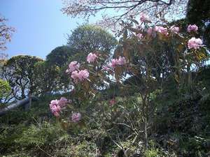 Surroundings・Views