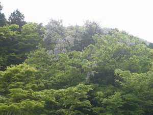 Surroundings・Views