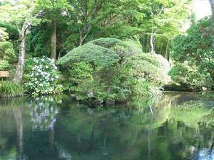 Surroundings・Views