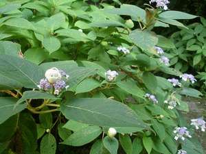 Surroundings・Views