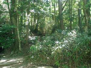 Surroundings・Views