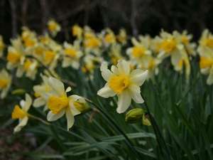 Surroundings・Views