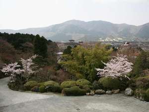 Surroundings・Views