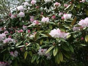 Surroundings・Views