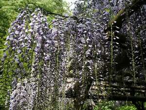 Surroundings・Views