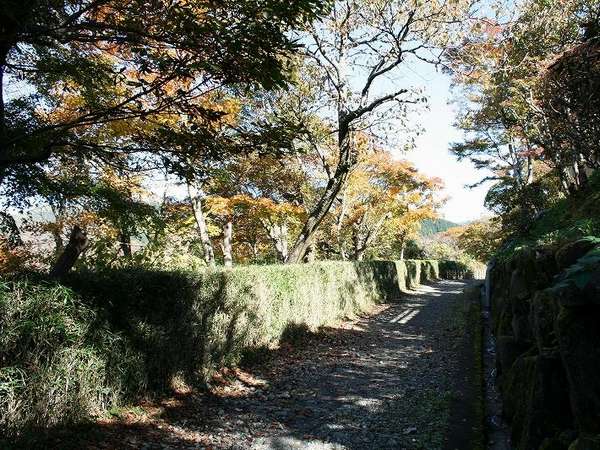 Surroundings・Views