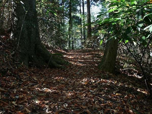 Surroundings・Views