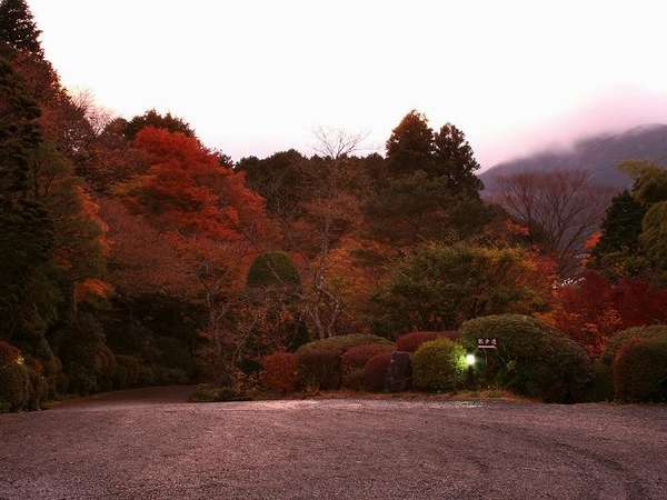 Surroundings・Views