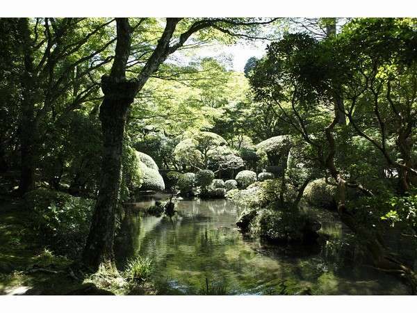 Surroundings・Views