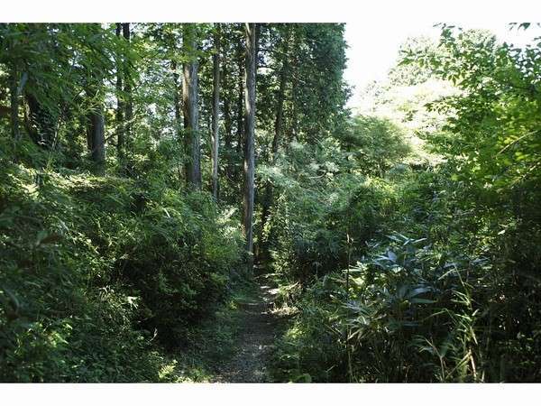 Surroundings・Views