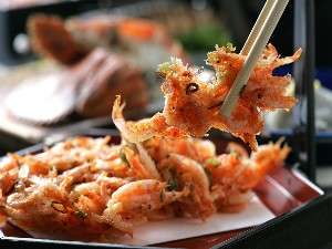 サクサク食感の桜海老のかき揚げ　一例