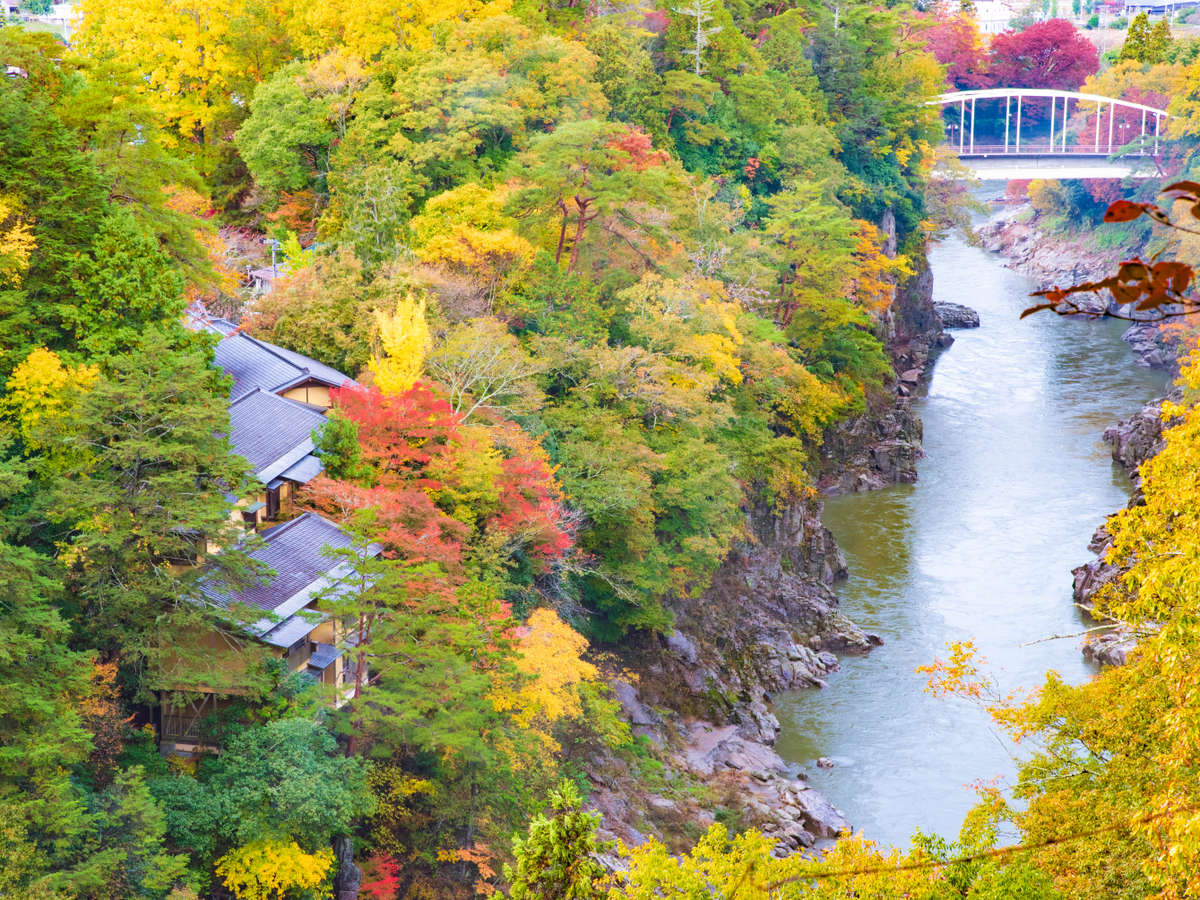 天龍峡温泉 渓谷に佇む隠れ宿 峡泉