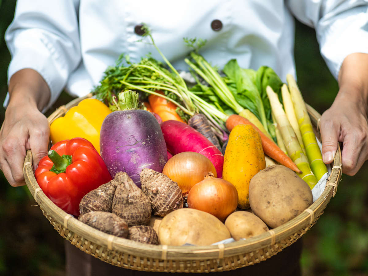 �������̒n���H�ނ��g�p���A���v���̋��y������n�엿����񋟒v���܂��B