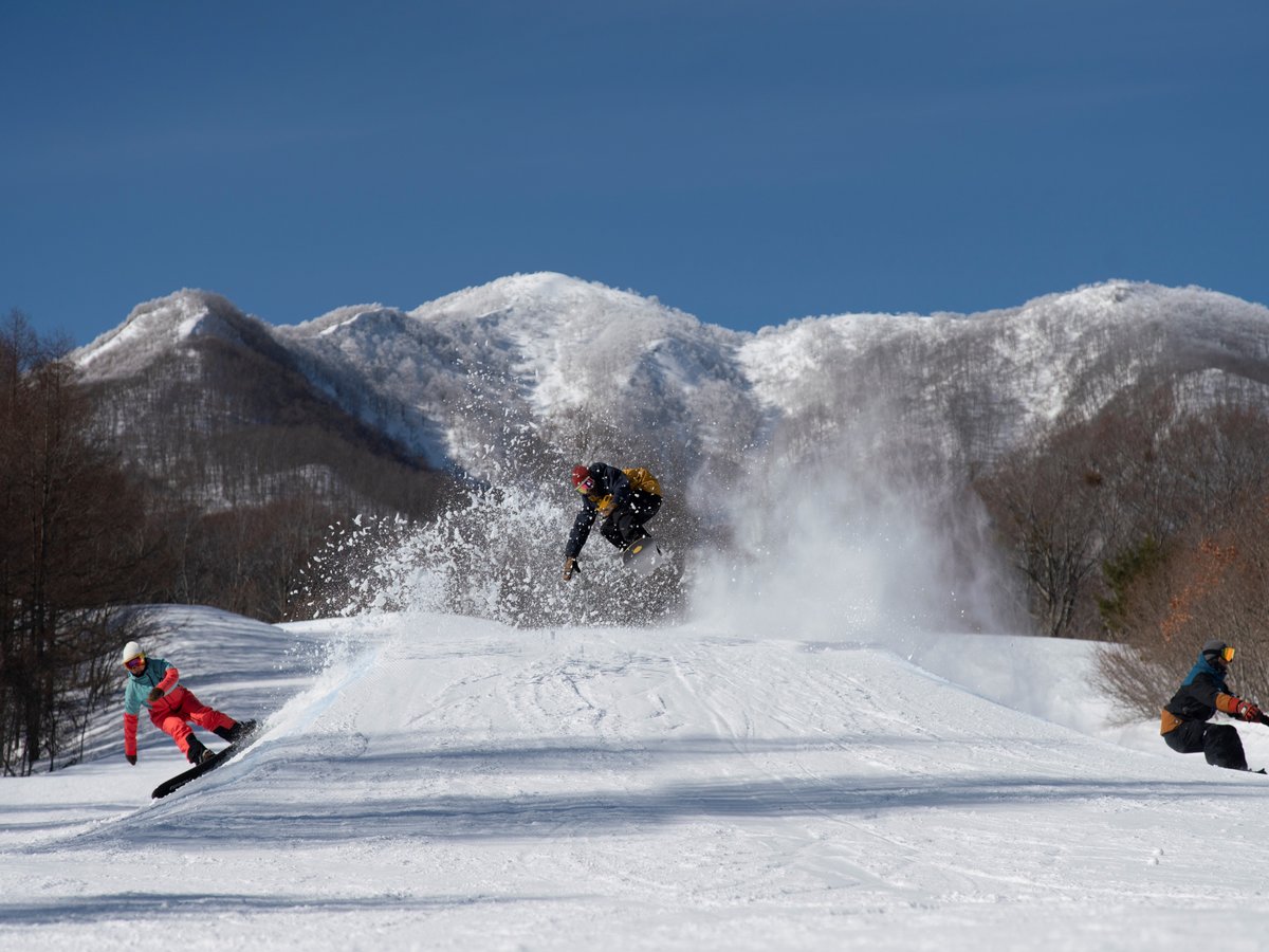 ネコママウンテン（イメージ）