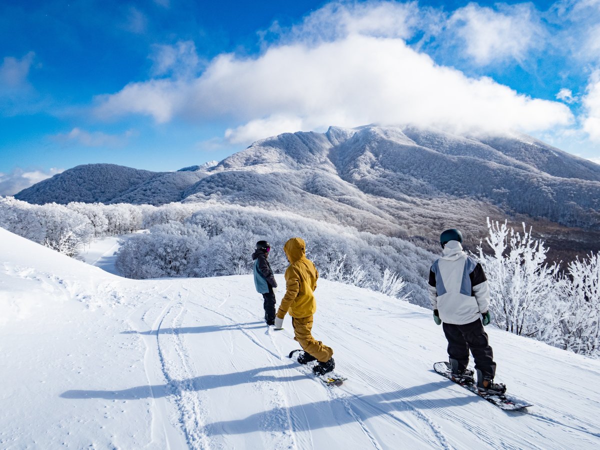 ネコママウンテン（イメージ）