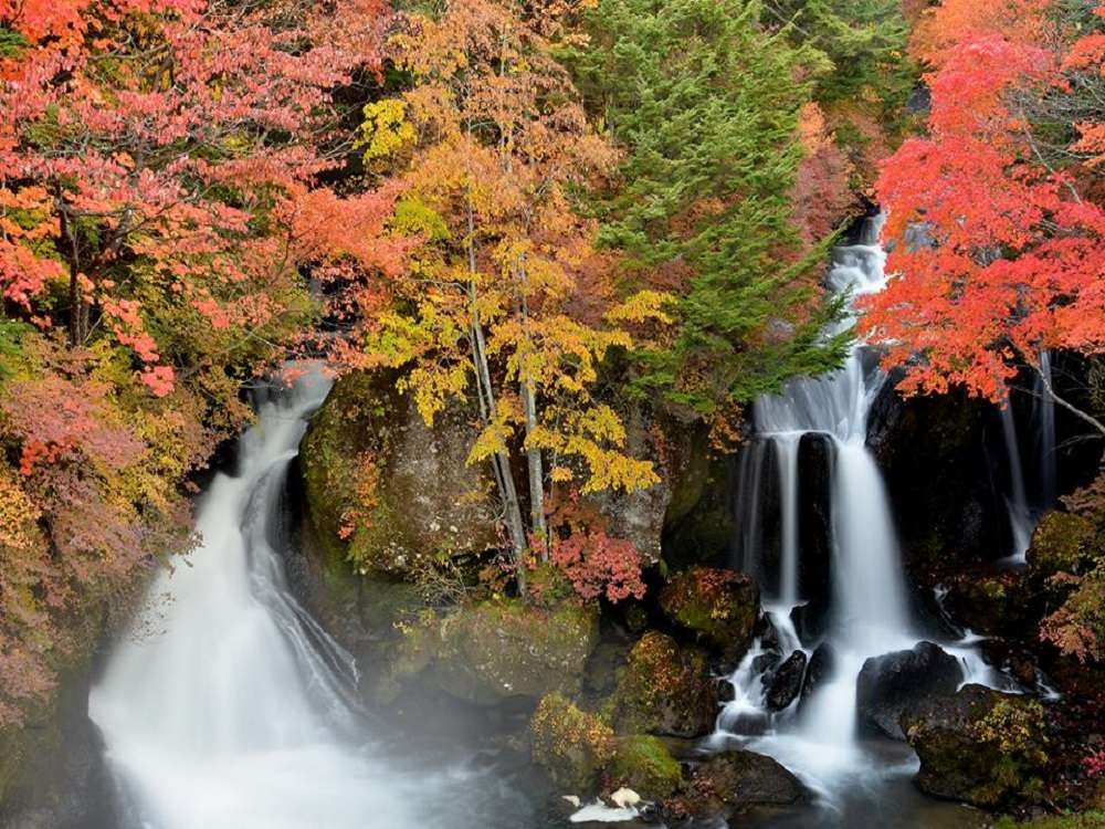 紅葉の竜頭の滝