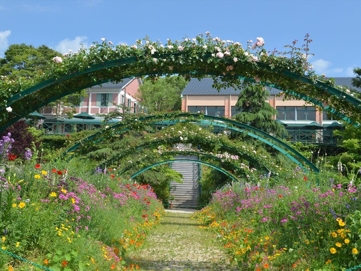 モネの庭|花の庭(5月頃)