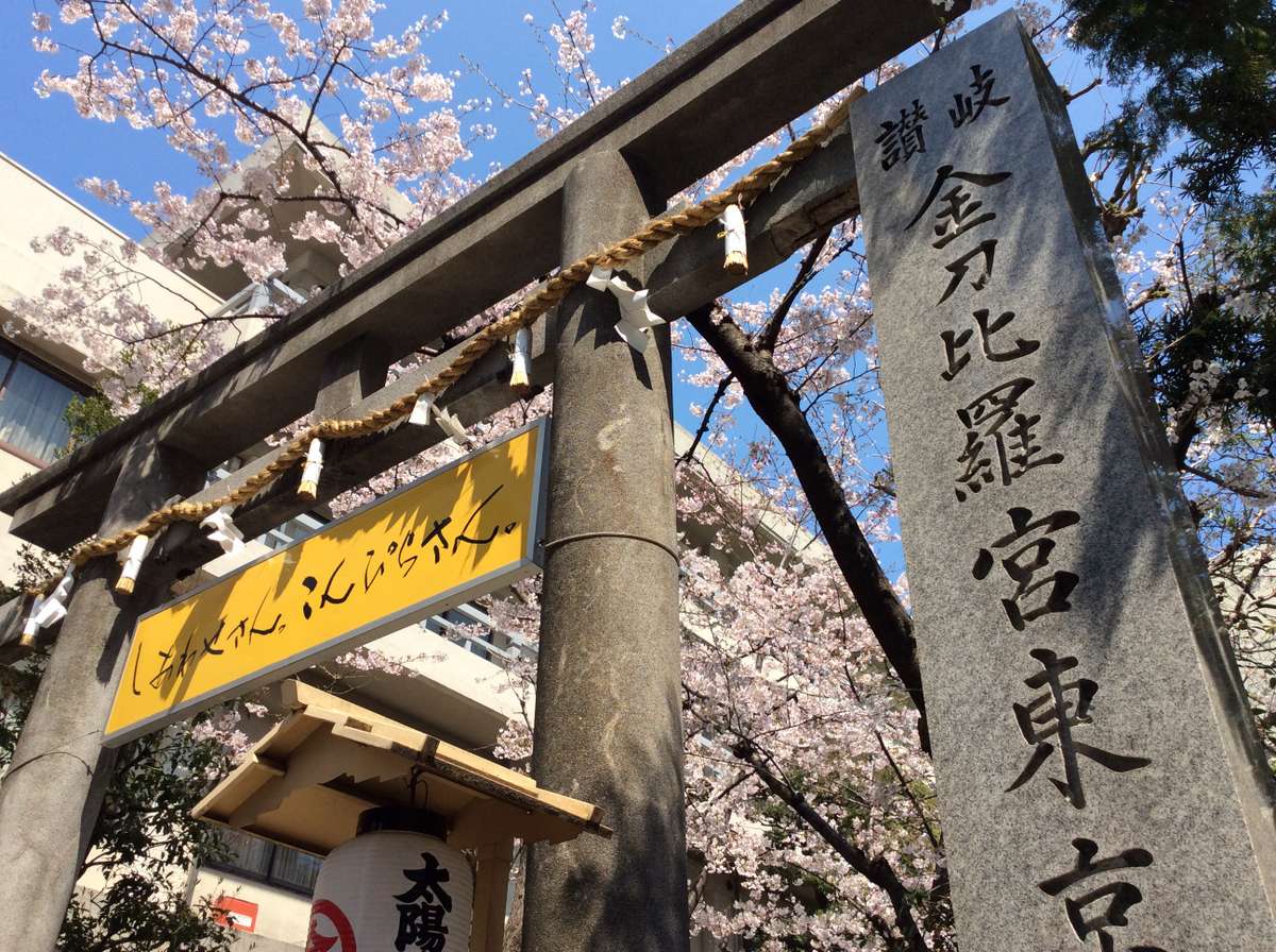 Surroundings・Views