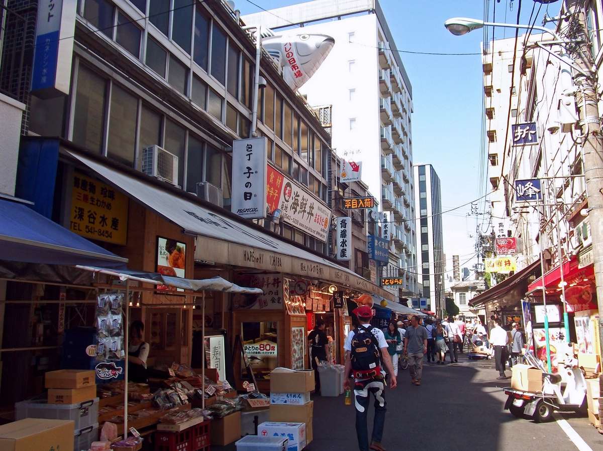 Surroundings・Views