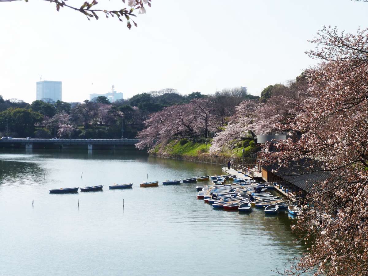 Surroundings・Views