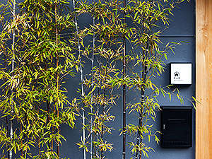 (TOP)�O���T�C���ƍ��|