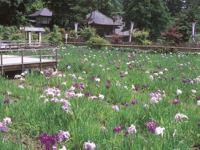 Surroundings・Views