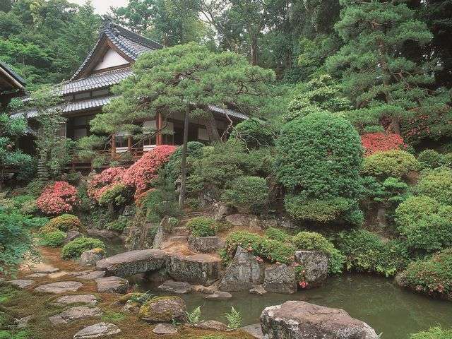 Surroundings・Views