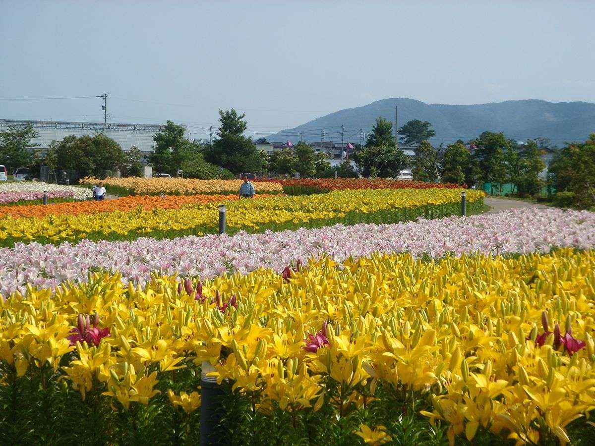 Surroundings・Views