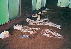 ���N�Ɣ��e�Ɍ��ʁ��A�y�f���C��̌��I