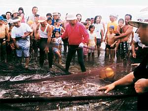 5�`8���̓��j���́u�n���ԁv���̌��ł���