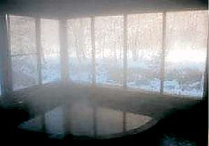 �����ɓ܂�傫�ȑ��̌������ɍL����i�F�Ɋ���