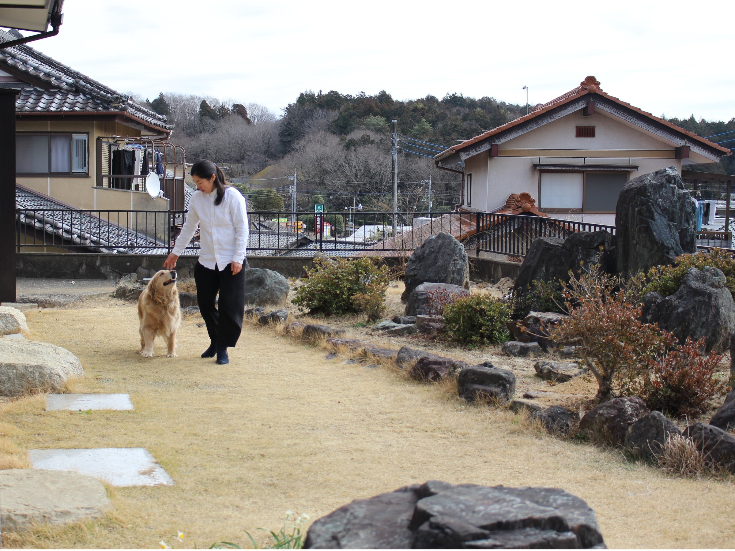 �Ő��̂���Β�ł̓y�b�g�Ƃ��U���ł��܂�