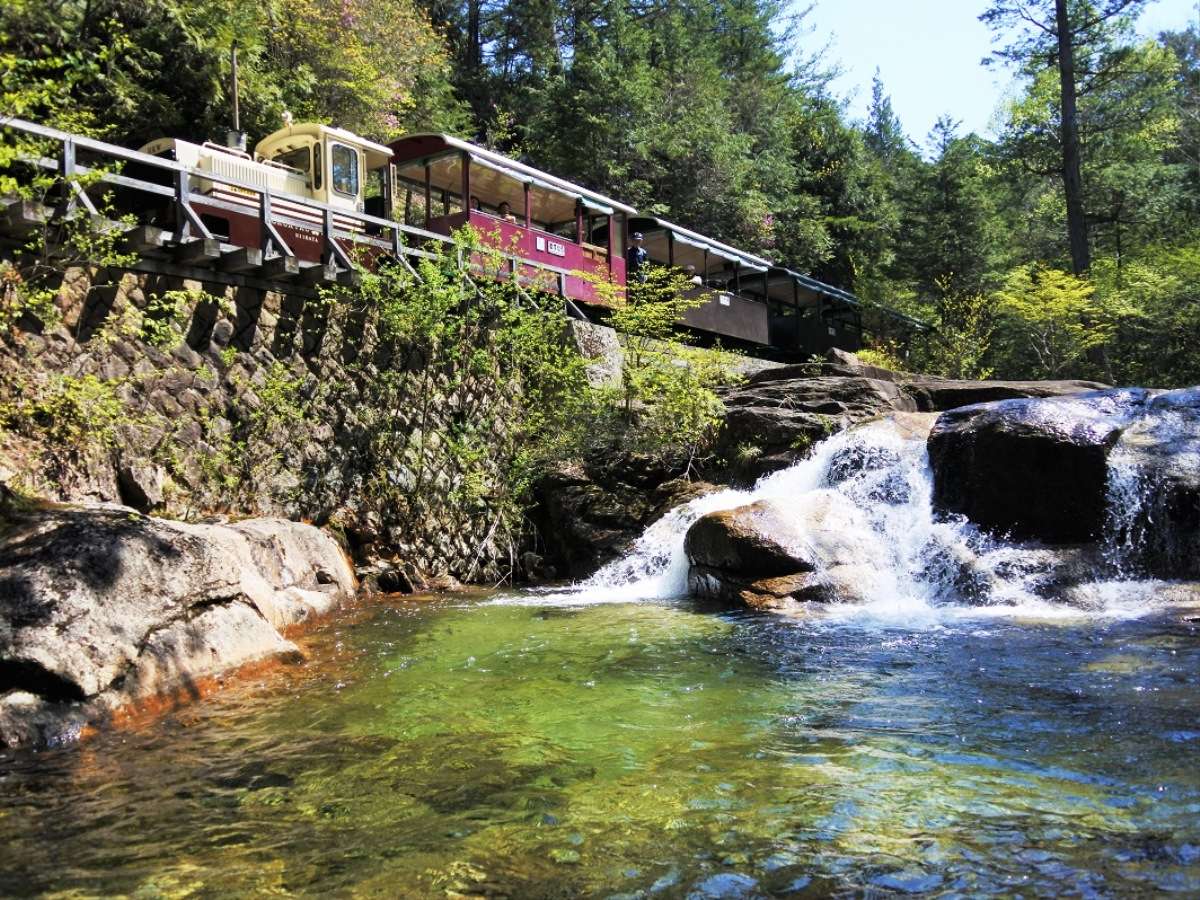 �y�ԑ�X�ѓS���z�ԑ򎩑R�x�{�т̊J�����Ԓ��ɉ^�s���Ă��܂��B