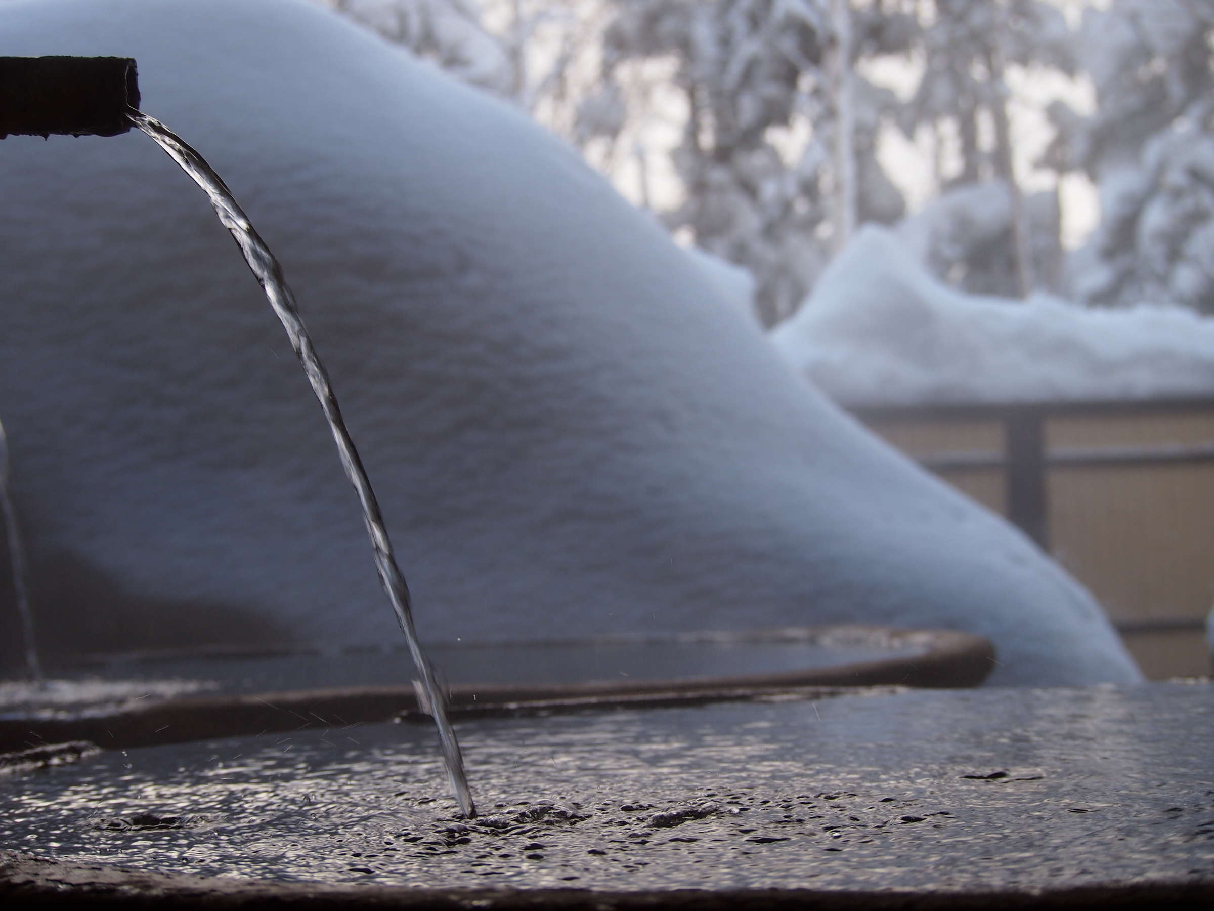 ���I�V���C(�~)�@�ڂ̑O�ɐ�R�𒭂߂Ȃ�������ł��܂��B