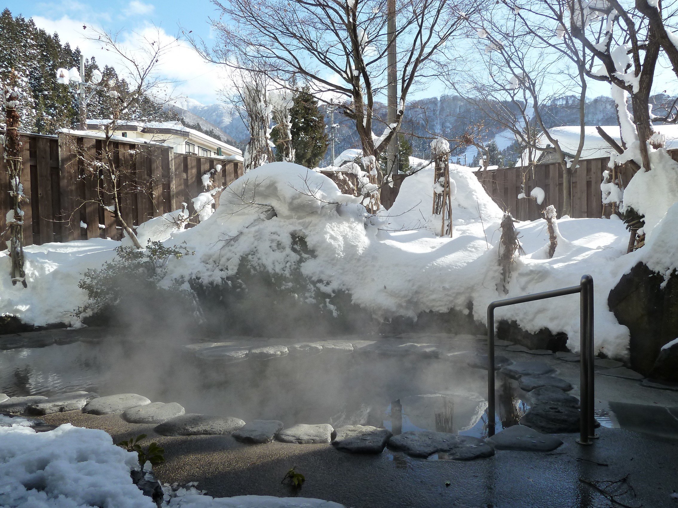 �y�I�V���C�@�ڗ��̓��z�~�A�ጩ�̘I�V���C