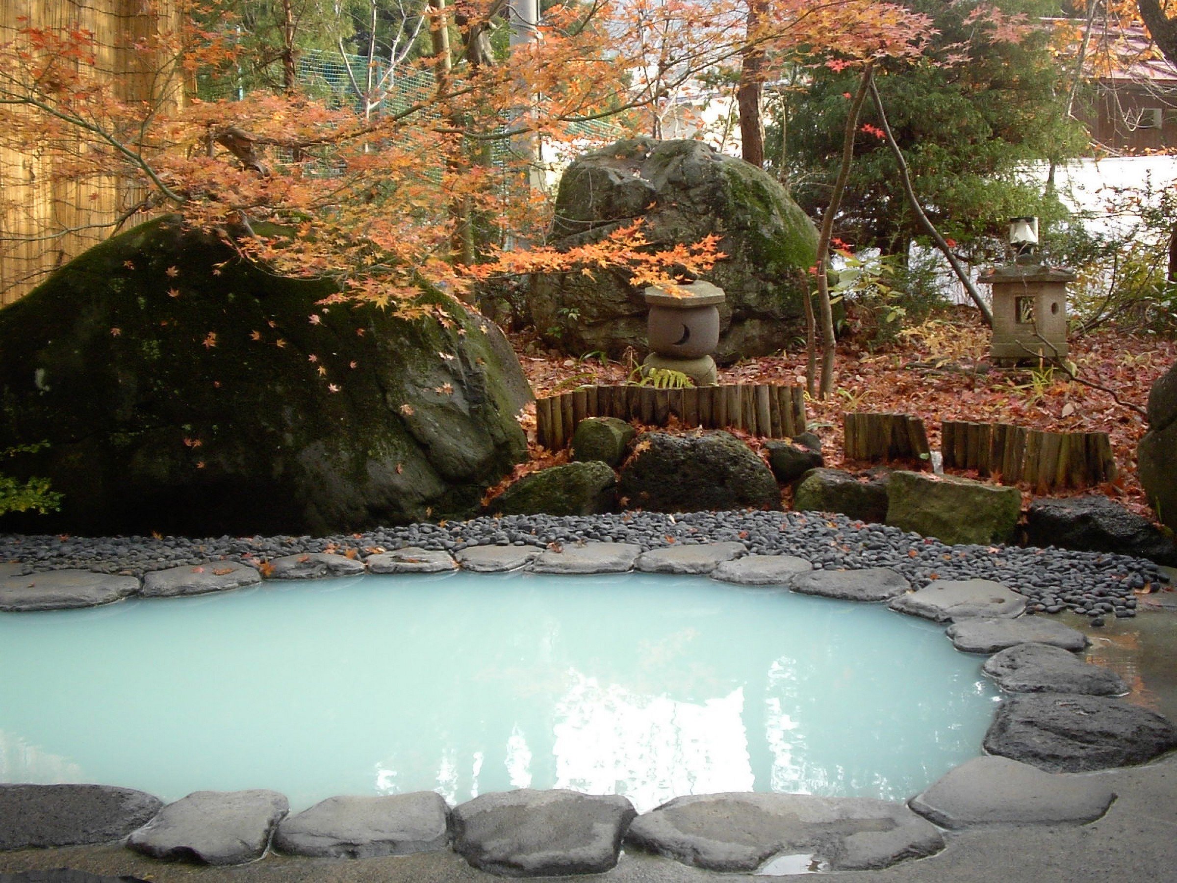 yIVC@ڗ̓zG߂⎞ԂɂڗFFւƓ̐Fω_IȘIVC