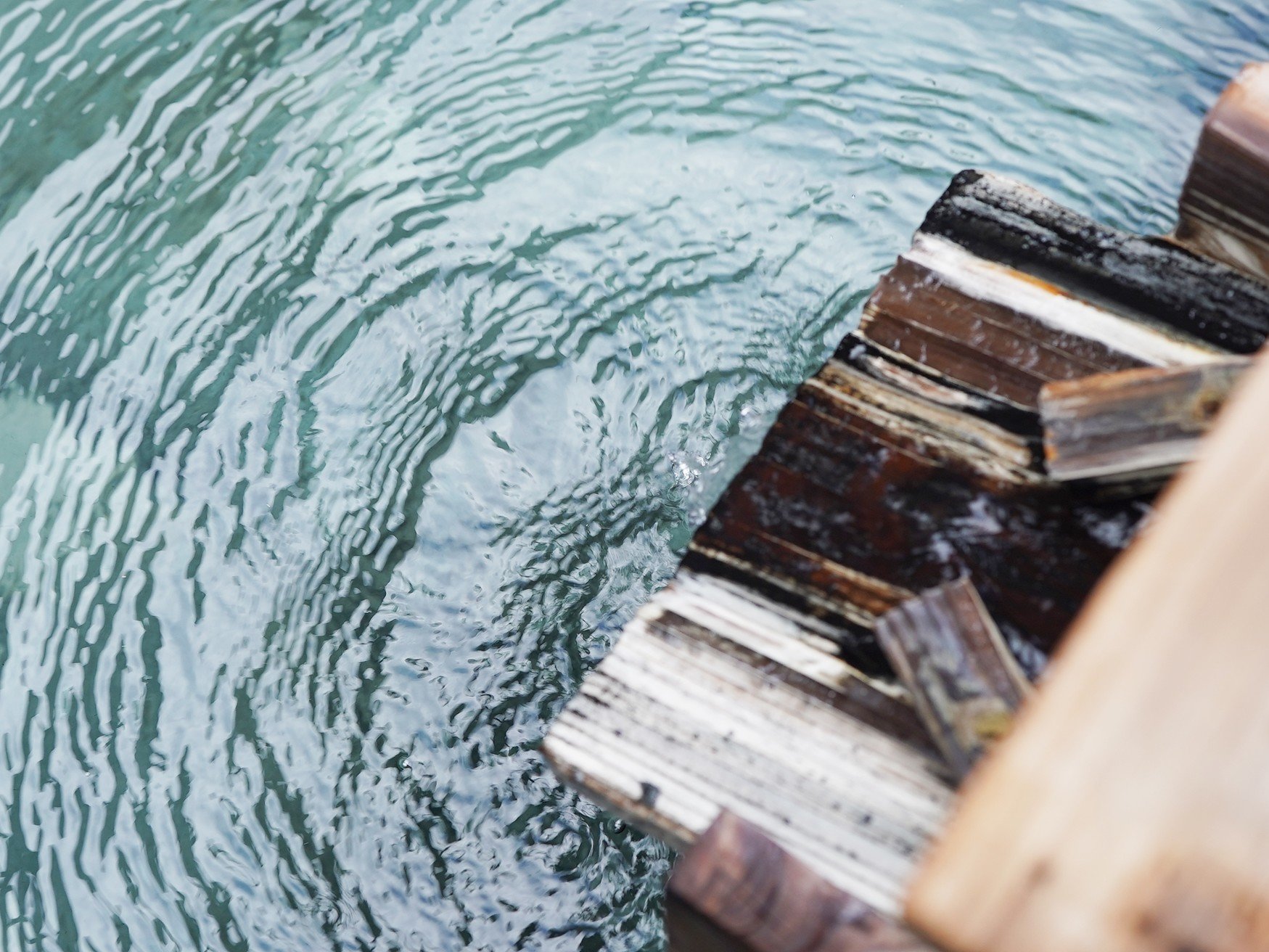 �y�ݐؘI�V���C�E�ԓc�̓��z���~���i12�����{�`4�����{���\��j����ш��V�󎞂̓N���[�Y�������܂��B