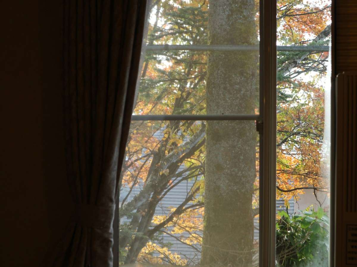 *�m�A�l�b�N�X�ف^�c�C���E�o�X�g�C���t�n�l�G�̈ڂ낢������ؗ������̊O�ɖ]�߂܂�