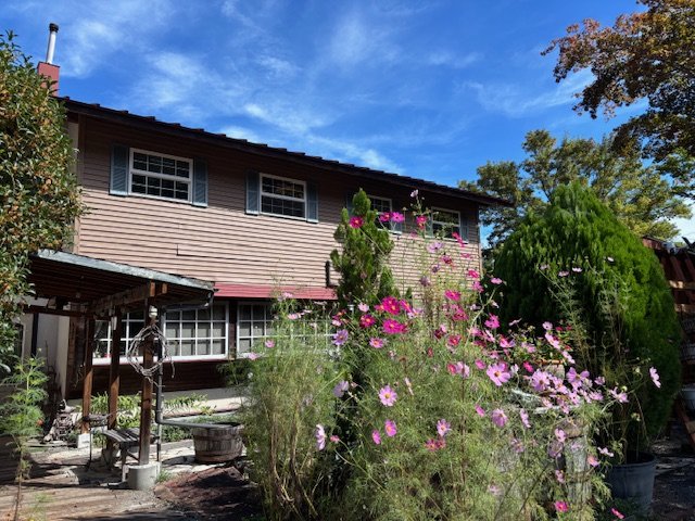 �H�A�R�X���X�ɕ�܂�鐳�ʊO��