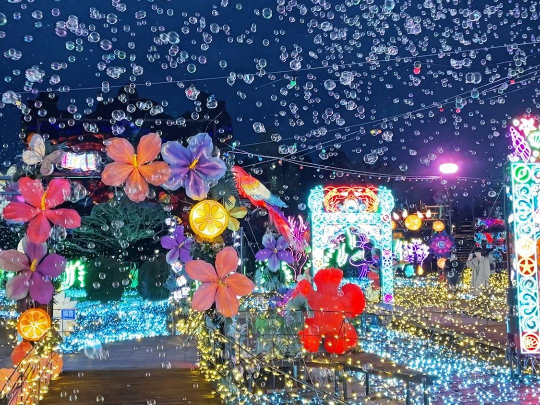 �O�����C���~