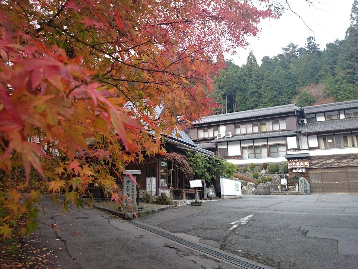 gt̑匴RO