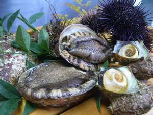 �C�̋ɏ�i�A���r�G�E�j�F�������F�≲�y�I�I�I