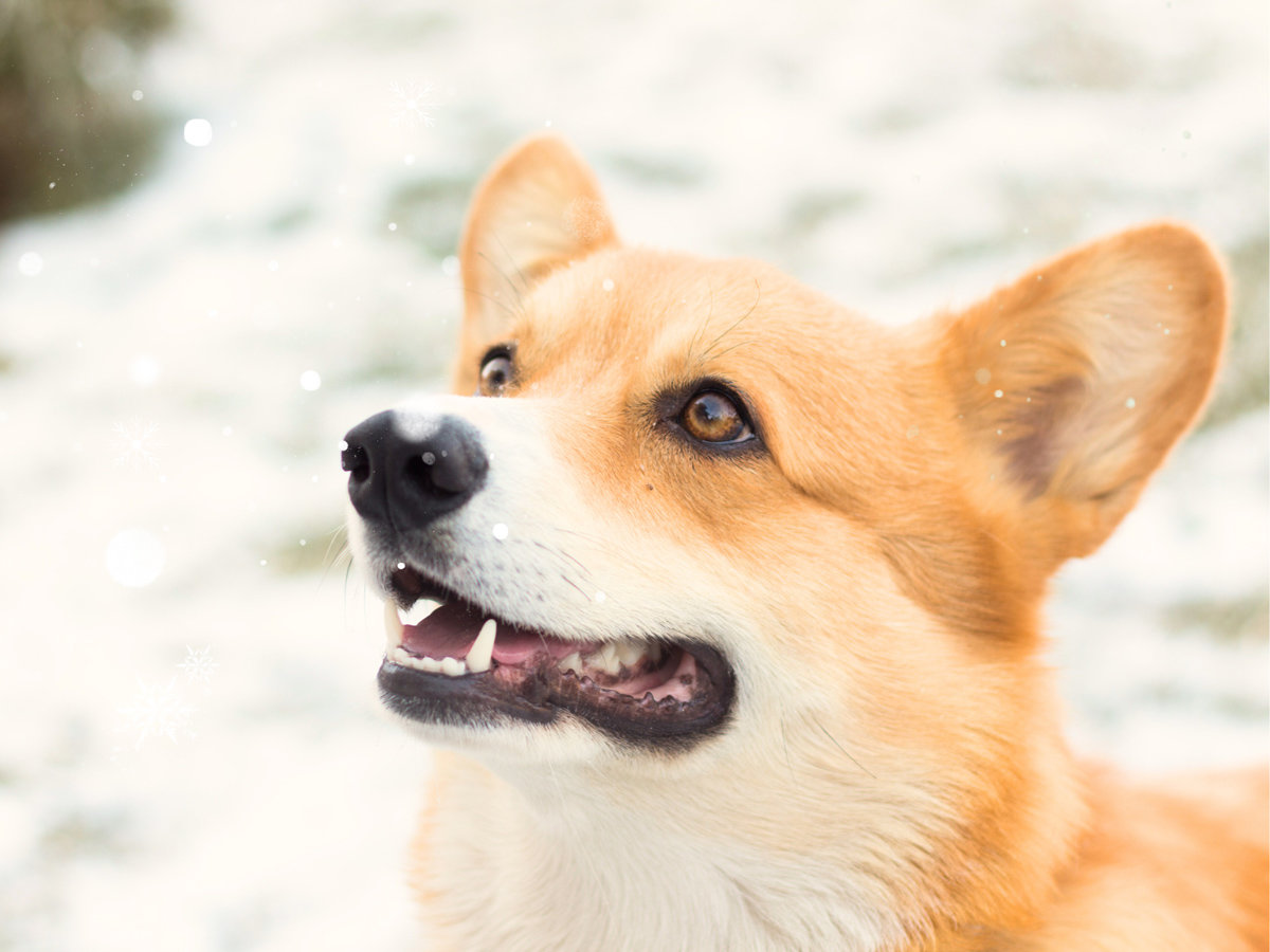 �~�̑��Ղ́A�ӂ���ł��闷�̂��邵�B